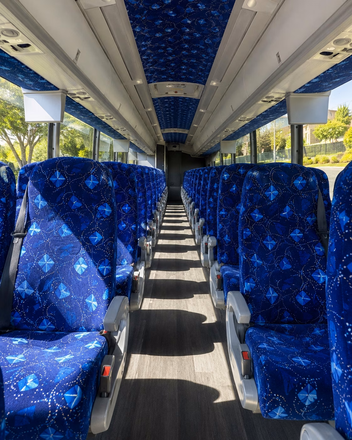 zoo and safari field trip charter bus rentals in delray beach
